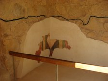 Enlarge photo 67