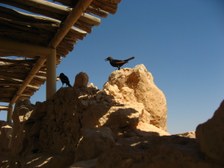 Enlarge photo 86