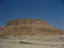 Enlarge photo 93
