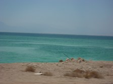 Enlarge photo 98