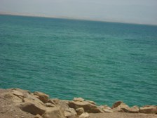 Enlarge photo 99