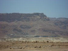 Enlarge photo 110