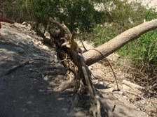 Enlarge photo 120