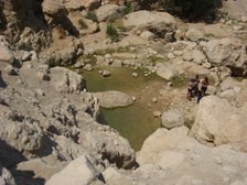 Enlarge photo 121