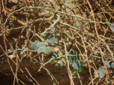 Enlarge photo 123