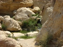 Enlarge photo 124