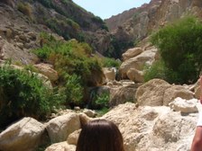 Enlarge photo 127