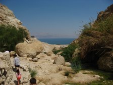 Enlarge photo 141