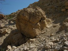 Enlarge photo 139