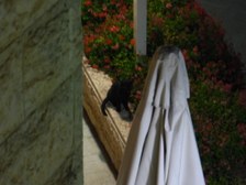 Enlarge photo 154