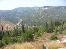 Enlarge photo 18