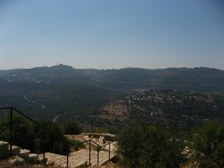 Enlarge photo 23