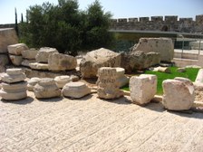 Enlarge photo 44