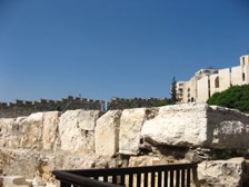 Enlarge photo 59