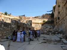 Enlarge photo 66