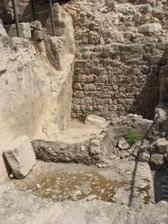 Enlarge photo 67