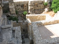 Enlarge photo 71