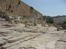 Enlarge photo 77