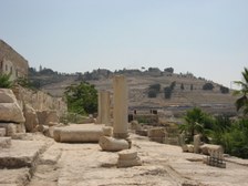 Enlarge photo 80