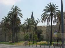 Enlarge photo 98