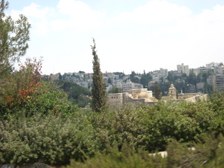 Enlarge photo 109