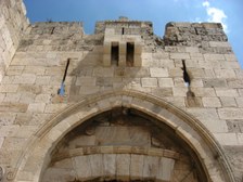 Enlarge photo 118