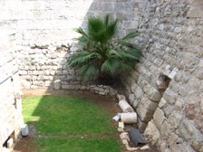 Enlarge photo 121