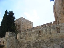 Enlarge photo 124
