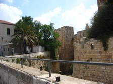 Enlarge photo 125