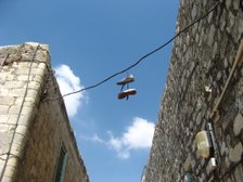 Enlarge photo 129