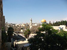 Enlarge photo 142