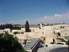 Enlarge photo 143