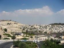 Enlarge photo 144