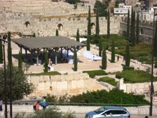 Enlarge photo 145