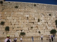 Enlarge photo 151