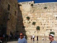 Enlarge photo 155