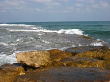Enlarge photo 19