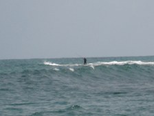 Enlarge photo 25