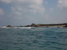 Enlarge photo 36