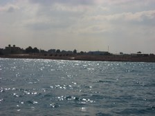 Enlarge photo 37