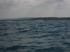 Enlarge photo 39