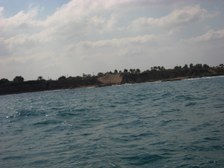 Enlarge photo 41