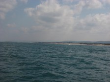 Enlarge photo 42
