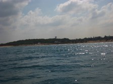 Enlarge photo 44