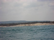 Enlarge photo 45