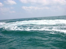 Enlarge photo 46
