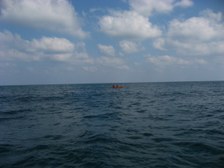 Enlarge photo 50