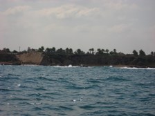 Enlarge photo 51