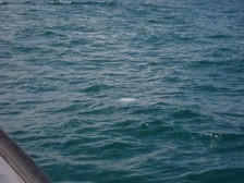 Enlarge photo 58