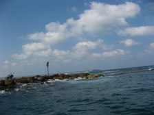 Enlarge photo 59